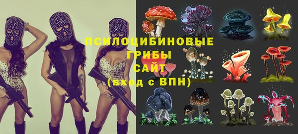 MESCALINE Верея